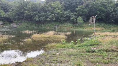 신매낚시터 이모저모