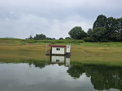 청풍 한버들 조황입니다