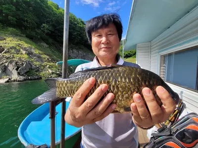 충주호목벌낚시터소식