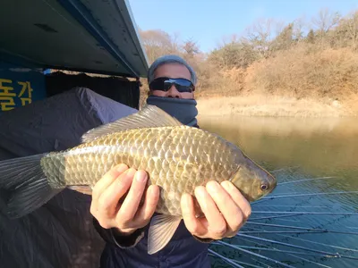 돌감낚시터 4짜 조황입니다.