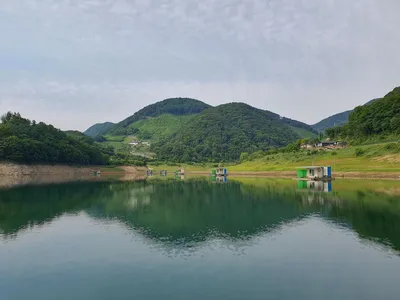 용곡 김기호낚시터 사짜 조황 정보입니다