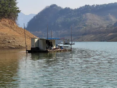 실리곡낚시터  41cm 조황입니다.