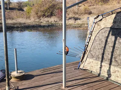 청풍 한버들 조황입니다