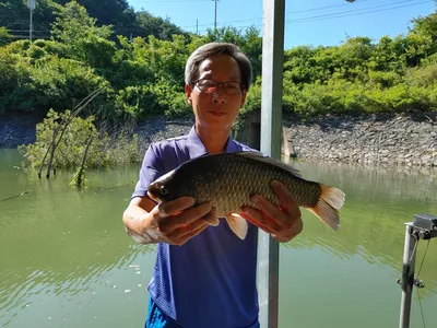 돌감낚시터 4짜 및 붕어 조황입니다.