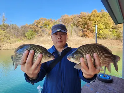 돌감낚시터 붕어조황입니다.