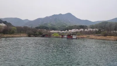 솔낚시터 주중 사짜 및 월척 조황 소식입니다