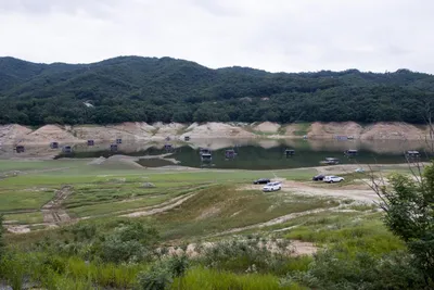 솔낚시터 조황 소식입니다.