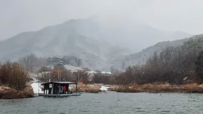 솔낚시터 새해맞이 사짜 조황입니다.