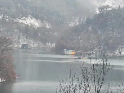 청풍 실리곡낚시터  41cm외 허리급 조황입니다.