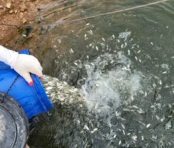 실리곡낚시터  조황입니다.