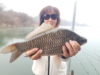 돌감낚시터 4짜 및 붕어조황입니다.