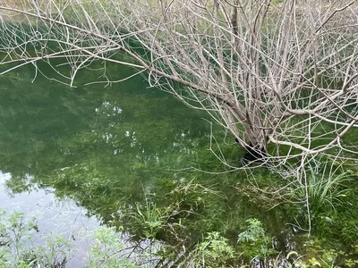 솔낚시터 조황 소식입니다~