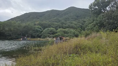 솔낚시터 사짜 조황입니다.