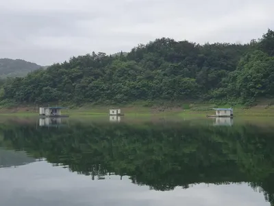 실리곡낚시터 4짜.허리급 조황입니다.