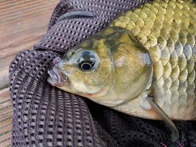 신매낚시터의 이모저모