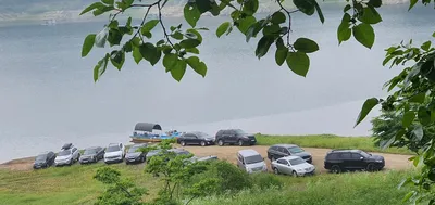 용곡 김기호 낚시터 사짜 조황입니다