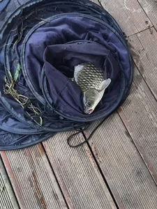 사오리낚시터 조황정보