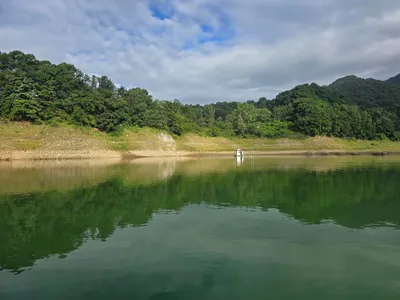 청풍 한버들 조황입니다