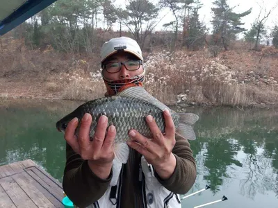 돌감낚시터 조황