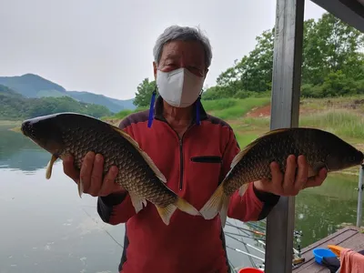 지금 나온 42.2cm, 40.6cm 4짜 두수입니다.