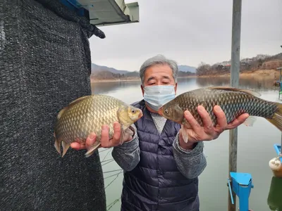 돌감낚시터 붕어조황입니다.