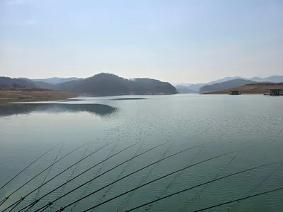 청풍 한버들 조황입니다