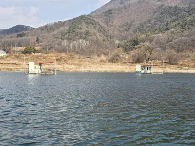 청풍 한버들 조황입니다