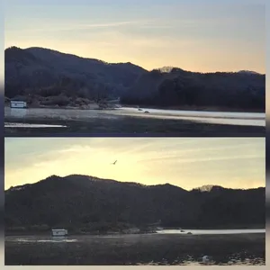 청풍신리낚시터 조황입니다