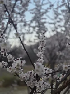 4월의시작 대물과함께
