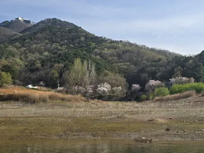청풍 한버들 조황입니다