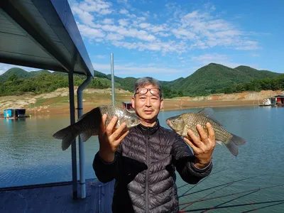 돌감낚시터 붕어조황입니다.