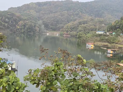 청풍실리곡낚시터 허리급 조황입니다.