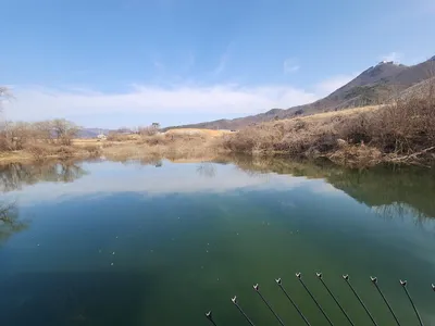 청풍 한버들 조황입니다
