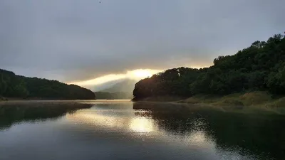 충주호 수위변화 현황