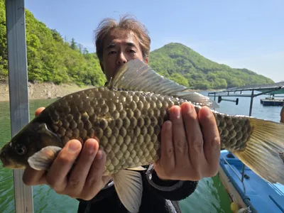 목벌 대물소식 입니다.