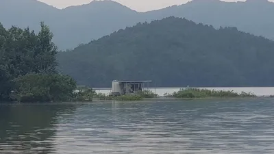 청풍 한버들 낚시터 4짜포함 허릿급 조황입니다