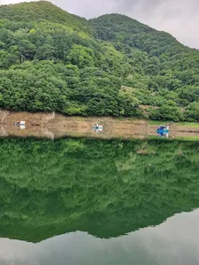 사오리 낚시터 조황정보