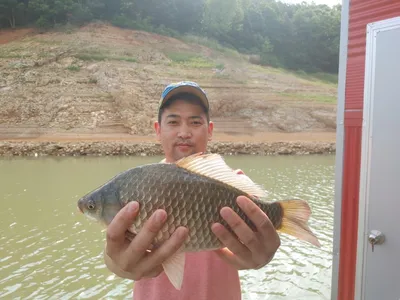 돌감낚시터 붕어조황입니다.