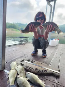 돌감낚시터 붕어조황입니다.