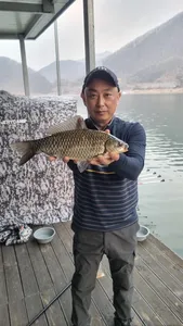 덕곡낚시터 조황정보입니다.