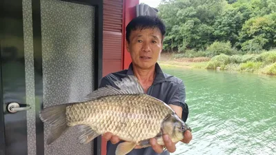 솔낚시터 조황 소식입니다.