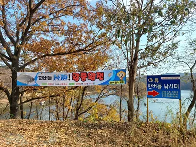 청풍 한버들 허릿급 마릿수조황입니다