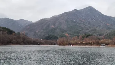 솔낚시터 사짜 조황소식입니다.