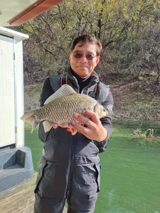 사오리 낚시터 조황정보