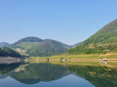 용곡 김기호 낚시터 조황정보 입니다