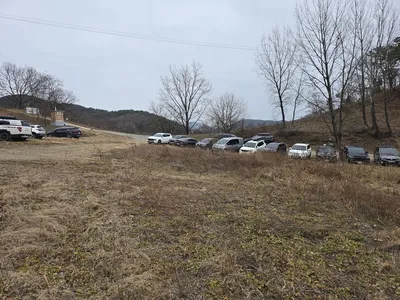 청풍 한버들 조황입니다