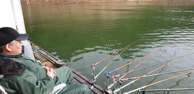 짱가네 5월 20일 조황입니다