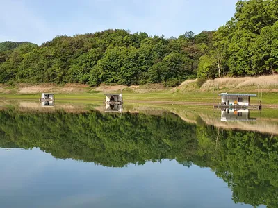 실리곡낚시터 4짜 3수.허리급 2수 조황입니다.