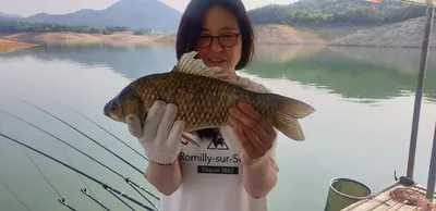 청풍호 짱가네좌대 4짜!!! 허리급 조황입니다.