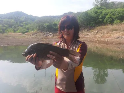 돌감낚시터 조황입니다.